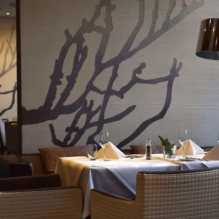 Elaya Frankfurt מלון